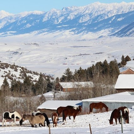 Montana Winter Adventures